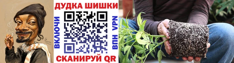 Виды наркотиков купить Болгар АМФЕТАМИН  Конопля 