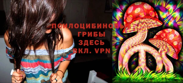 а пвп мука Белокуриха